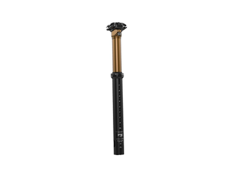 Fox Transfer SL Factory Dropper-Sattelstütze, 31.6mm, 150mm, kashima/black - Produktbild - 1 Fox Transfer SL Factory Dropper-Sattelstütze, 31.6mm, 150mm, kashima/black - Produktbild - 1