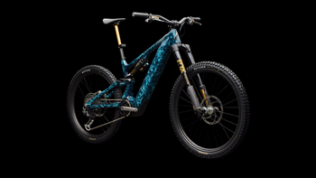 S-Works Turbo Levo 4 LTD - Produktbild - 2