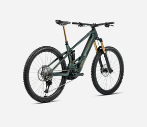 Orbea WILD M10 Mullet MY2026 Seaweed Carbon View Matt - Produktbild - 3