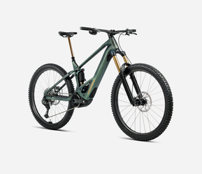 Orbea WILD M10 Mullet MY2026 Seaweed Carbon View Matt - Produktbild - 2