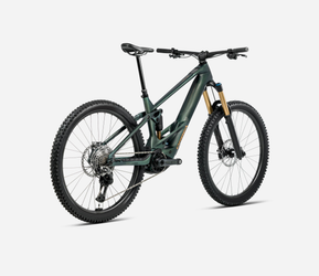 Orbea Wild M-LTD Mullet - Seaweed Carbon View Matt (Mitarbeiterbike 200km) - Produktbild - 3