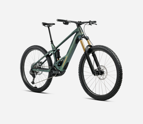 Orbea Wild M-LTD Mullet - Seaweed Carbon View Matt (Mitarbeiterbike 200km) - Produktbild - 2
