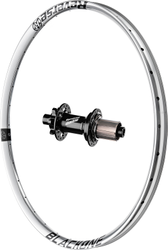 Laufrad Black One 29 Zoll hinten / Reverse Base / 12x148mm (Boost) / Shimano HG / schwarz / silber - Produktbild - 1
