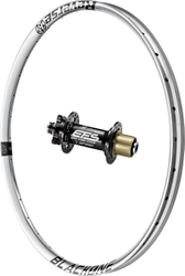 Laufrad Black One 29 Zoll hinten / Reverse Base / 12x148mm (Boost) / Shimano Microspline / schwarz / silber - Produktbild - 2