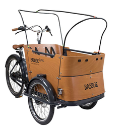 Babboe Gestängeset für Regen- und Sonnenverdeck am Lastenrad Curve, Komplett-Set, schwarz - Produktbild - 1