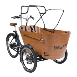 Babboe Zeltstangen Babboe | für Regendach, für Carve / Flow - Produktbild - 1