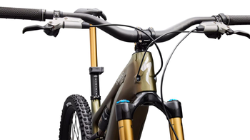 S-Works Turbo Levo 4 Laurel Green Metallic - Produktbild - 8