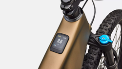 Turbo-Levo-R-Comp-Satin-Burnt9-21456651-21456651.jpg Specialized Turbo Levo R Comp Carbon E-MTB Burnt Gold / Sandstone Metallic - Produktbild - 4