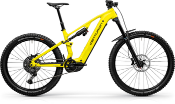 No Pogo R1000 EP4 Electrolime satin