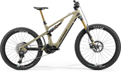 eONE-SIXTY-LIMITED-oak-bork-golden-black---21456741.jpeg eONE-SIXTY LIMITED oak bork(golden black)