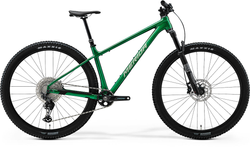 BIG-NINE-TR-LIMITED-dandelion-green-silvergreen---21456804.jpeg BIG.NINE TR LIMITED dandelion green(silvergreen)