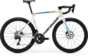 SCULTURA 6000 pearl(blue-team)