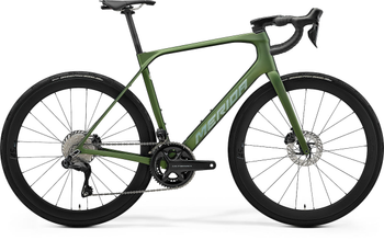 SCULTURA ENDURANCE 8000 matt fog green(silver)