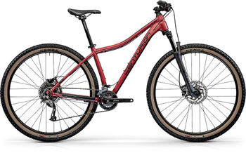CENTURION Backfire Fit Pro 200.29 HP2 cranberry - Produktbild - 1