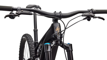 Specialized Turbo Levo R Expert E-MTB mit FACT-Carbonrahmen, 105 Nm und 840 Wh, Burnt Gold - Produktbild - 2