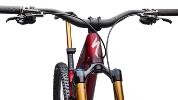 Specialized S-Works Stumpjumper 15 EVO Di2 Solidity Metallic / Bordeaux Metallic - Produktbild - 5