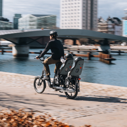 1619129-21459781.png Thule Yepp Nexxt 2 maxi Braun – Fahrradkindersitz - Produktbild - 5