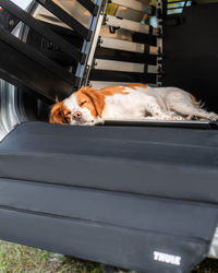 Thule Allax M Schwarz – Hundebox - Produktbild - 23