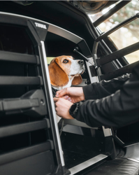 Thule Allax double Schwarz – Hundebox - Produktbild - 20