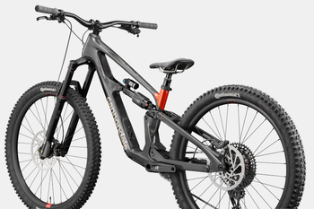 Cannondale Bad Habit Raw - Produktbild - 3