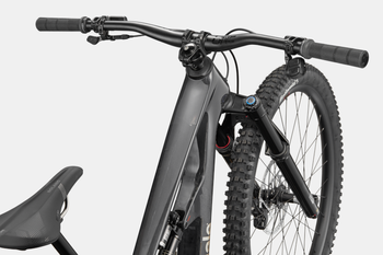Cannondale Bad Habit Raw - Produktbild - 8