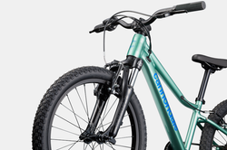 C26-C5217GU-20-Kids-Trail-CTG-D2-21462694.png Cannondale Kids Trail 20 Cactus Green - Produktbild - 5