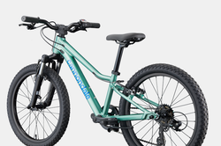 C26-C5217GU-20-Kids-Trail-CTG-D5-21462694.png Cannondale Kids Trail 20 Cactus Green - Produktbild - 3
