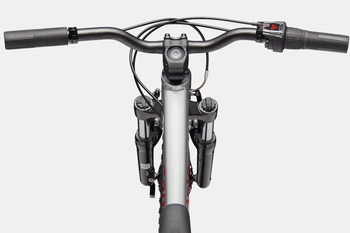 Cannondale Kids Trail 20 Silver - Produktbild - 5