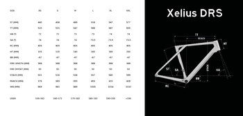 Lapierre Xelius DRS Frameset - Produktbild - 9
