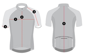 Eddy Merckx Radtrikot Merckx Collection Herren (MERCKX05) - Produktbild - 3