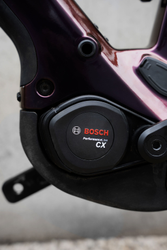 Ridley E-Kanzo Adventure Apex XPLR Schwarz - Produktbild - 3