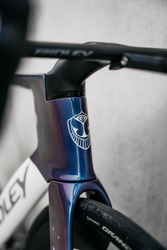 Ridley Noah Fast Force AXS Tomorrowland Edition - Produktbild - 3