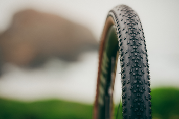 WTB Aero Gravel Reifen Macro 54 schwarz-tan, 700 c - Produktbild - 6