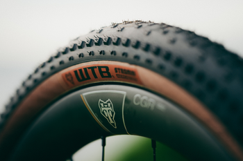 WTB Aero Gravel Reifen Macro 54 schwarz, 700 c - Produktbild - 5