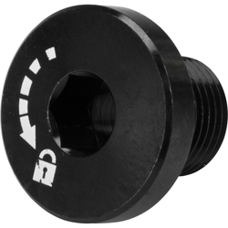 FA003856299-224873.jpg RST Verschlussschraube für Steckachse - Produktbild - 1