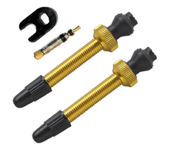 228615-294401-294401.jpg Barbieri Tubelessventil Alu 45 mm gold 2 Stück Ventilset - Produktbild - 1