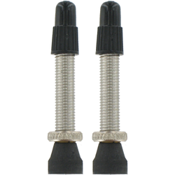 VAR 2 Stk. Tubeless-Ventil RP-44400 35 mm - Produktbild - 1