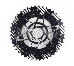 FWS10-103-01-331716-331716.jpg e*thirteen TRS Plus 11-fach Aluminiumritzel, 32-44 Z., black - Produktbild - 1