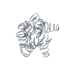 Salsa Flip-Offs Nabenschnellspanner Federn, 10 Stk. - Produktbild - 1