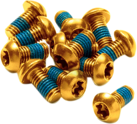 REVERSE Bremsscheiben Befestigungsschrauben gold - Produktbild - 1