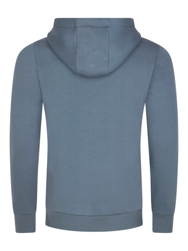 DENIMFY Hoodie Herren Regular Fit DFArno