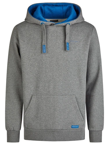 DENIMFY Hoodie Herren DFBenno Regular Fit Kapuzenpullover