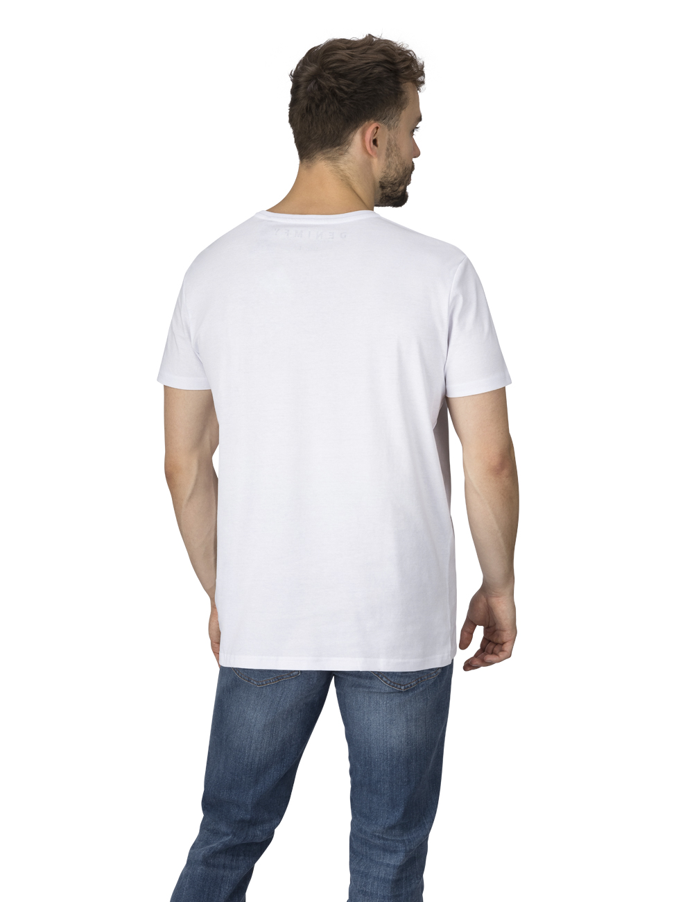DENIMFY TShirt Herren Regular Fit DFNuri