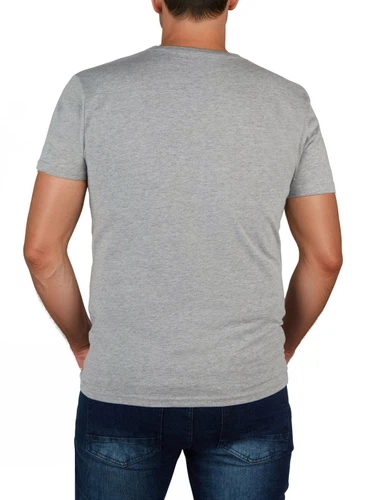 DENIMFY TShirt Herren Regular Fit DFNuri