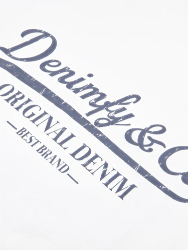 DENIMFY TShirt Herren Regular Fit DFNuri