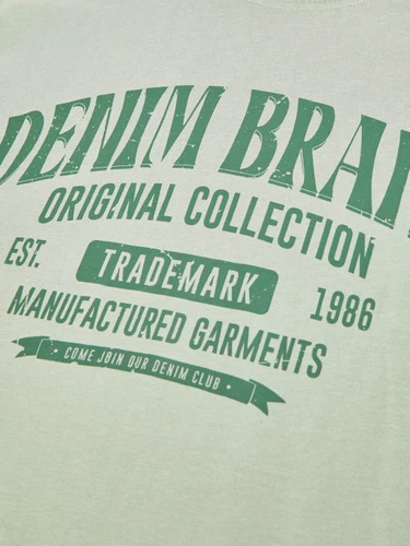 DENIMFY Tshirt Herren Baumwolle Regular Fit DFNuri 4er Pack Set