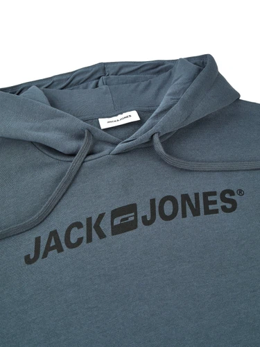 Jack & Jones Hoodie Herren mit Druck JJMORTY Regular Fit