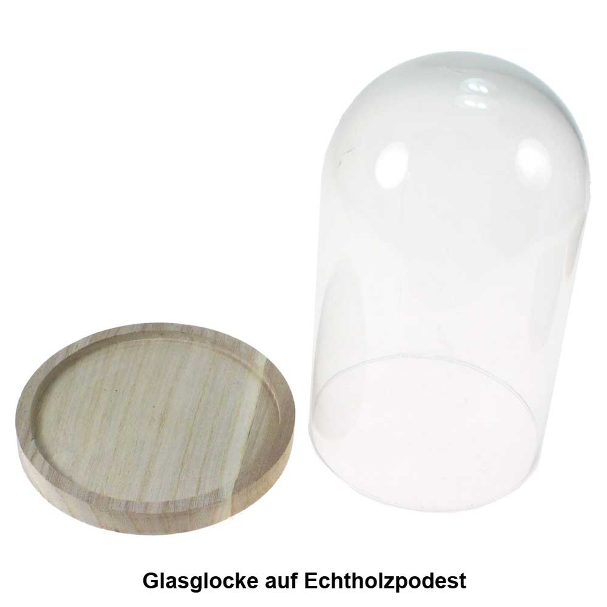 Große Glasglocke mit Holzsockel, 20,5 cm