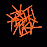 Angel-Knicklichter-orange.jpg Angel-Knicklichter-orange.jpg