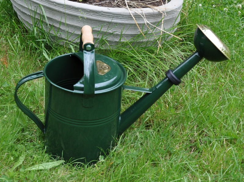 Gießkanne mit Holzgriff 5 Liter Grün